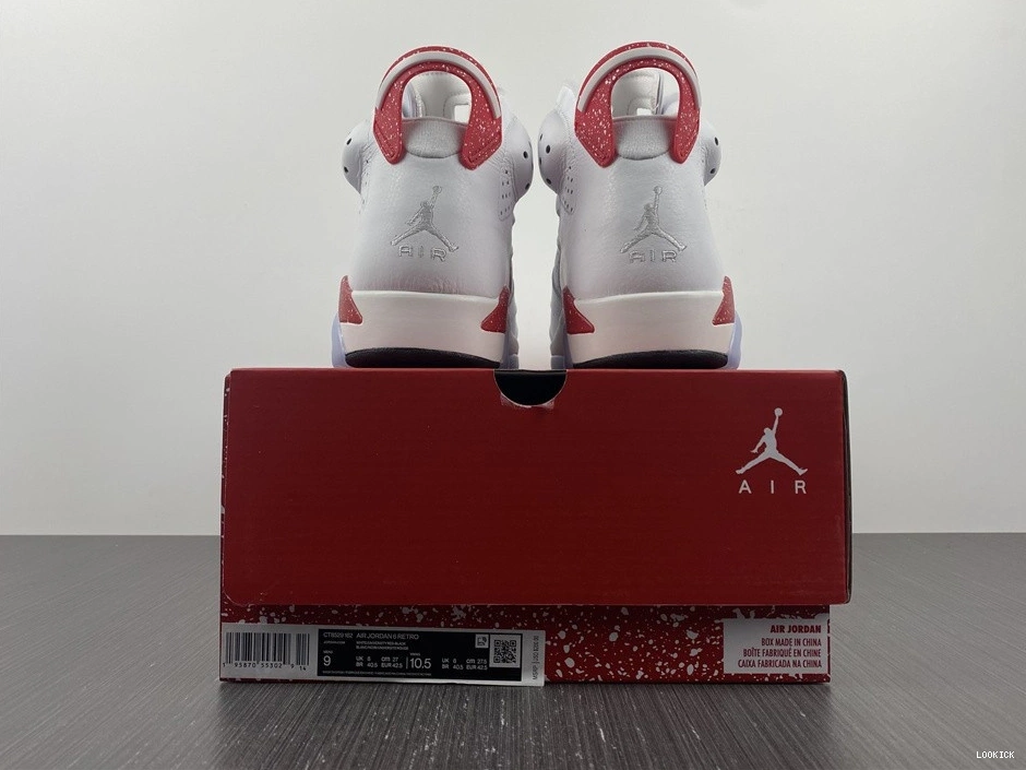 Rep Air Oreo Jordan 6 Red CT8529-162 0510